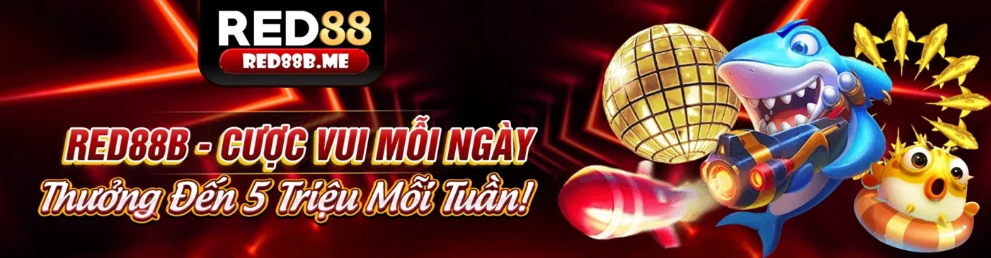 Hình ảnh giới thiệu 368bet login cho người mới